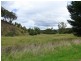 90 Nunniong Road, Bindi VIC 3896
