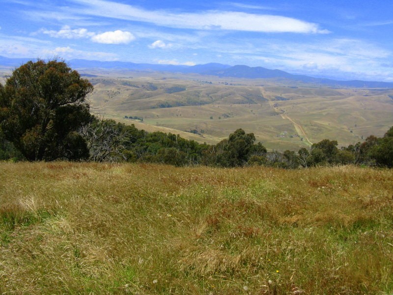 1118 Omeo Highway, Omeo VIC 3898