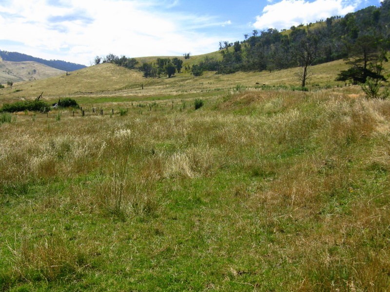 1118 Omeo Highway, Omeo VIC 3898