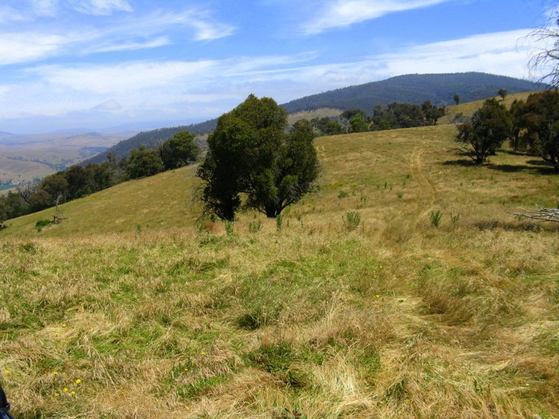 1118 Omeo Highway, Omeo VIC 3898