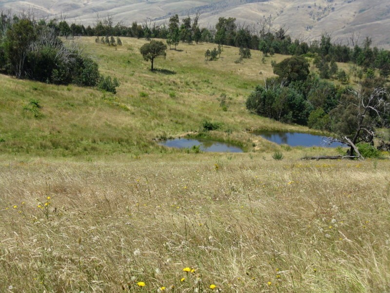 1118 Omeo Highway, Omeo VIC 3898