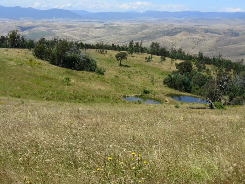 1118 Omeo Highway, Omeo VIC 3898