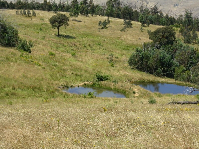 1118 Omeo Highway, Omeo VIC 3898