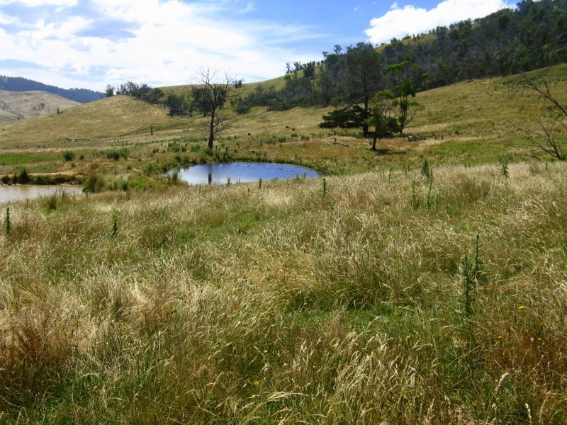 1118 Omeo Highway, Omeo VIC 3898