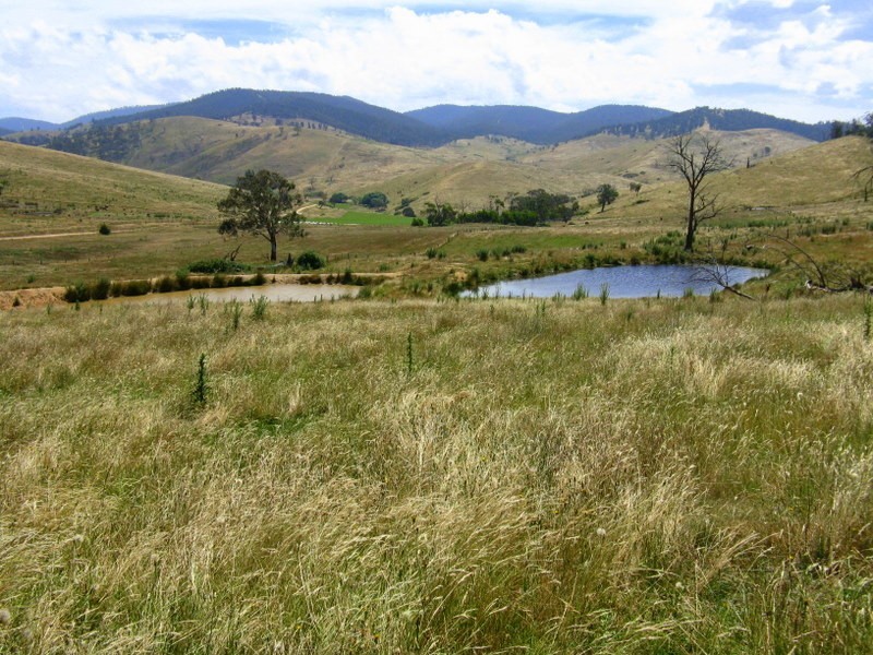 1118 Omeo Highway, Omeo VIC 3898