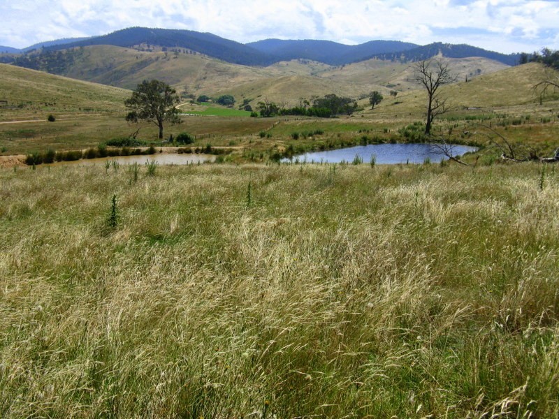 1118 Omeo Highway, Omeo VIC 3898