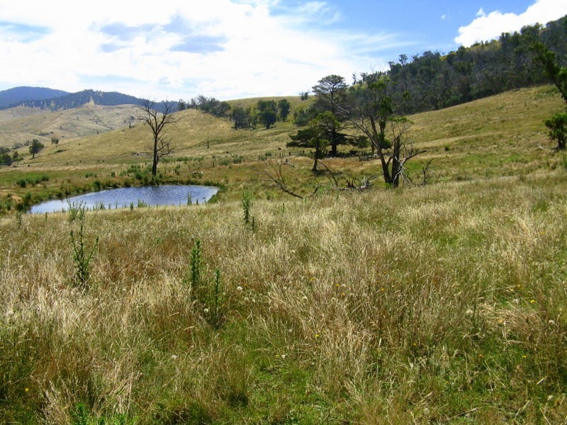 1118 Omeo Highway, Omeo VIC 3898