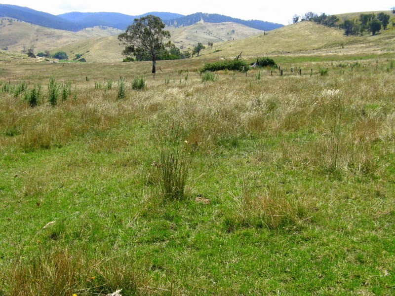 1118 Omeo Highway, Omeo VIC 3898