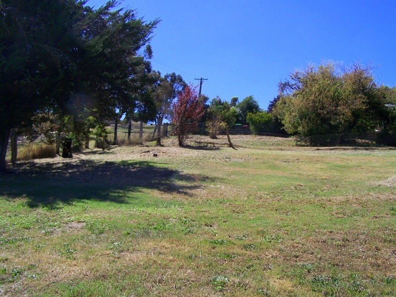 21 Crisp Street, Omeo VIC 3898