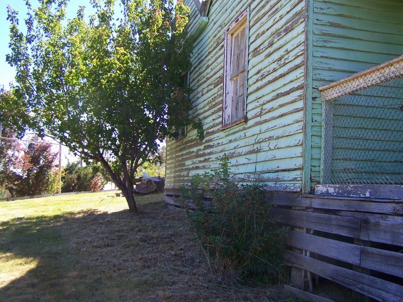 21 Crisp Street, Omeo VIC 3898