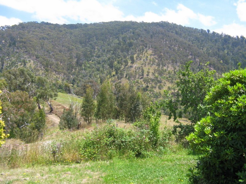 21 Crisp Street, Omeo VIC 3898