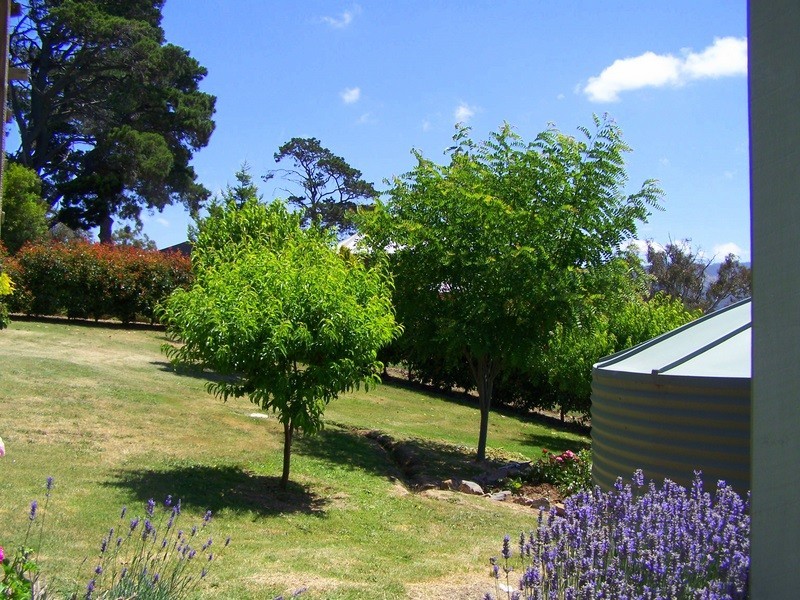 2 McCoy Street, Omeo VIC 3898