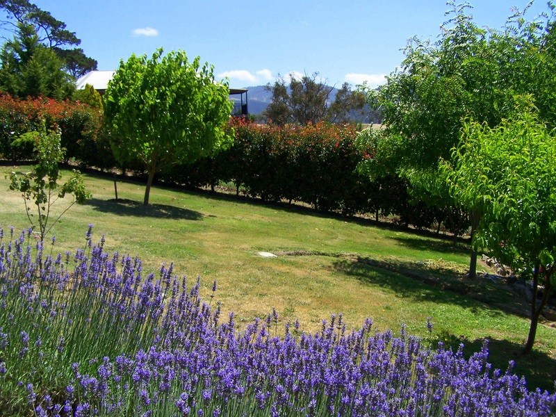 2 McCoy Street, Omeo VIC 3898