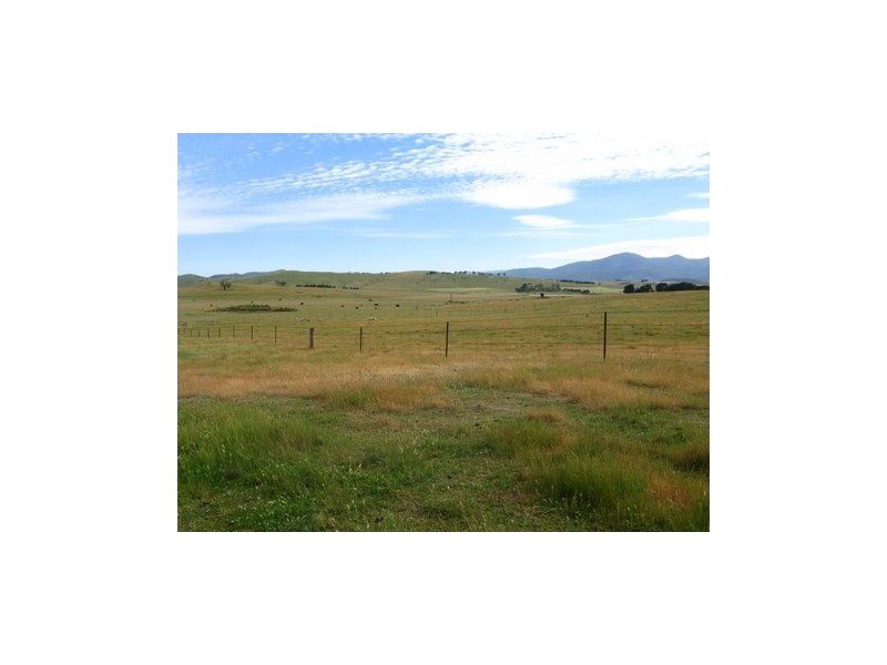 3 Fisters Lane, Omeo VIC 3898