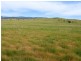 3 Fisters Lane, Omeo VIC 3898