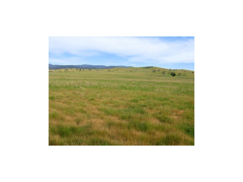 3 Fisters Lane, Omeo VIC 3898