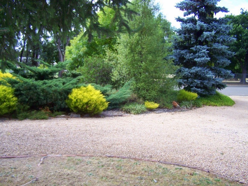 92 Day Avenue, Omeo VIC 3898