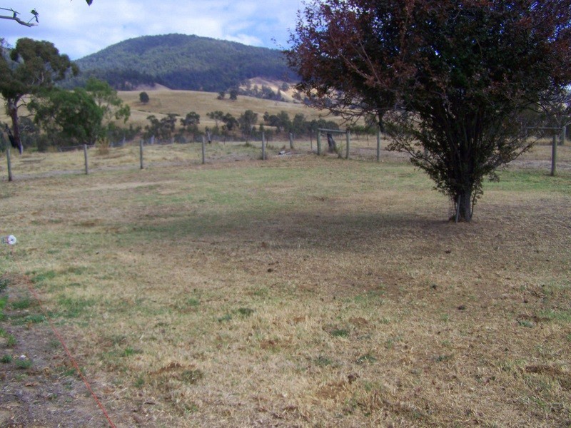 92 Day Avenue, Omeo VIC 3898