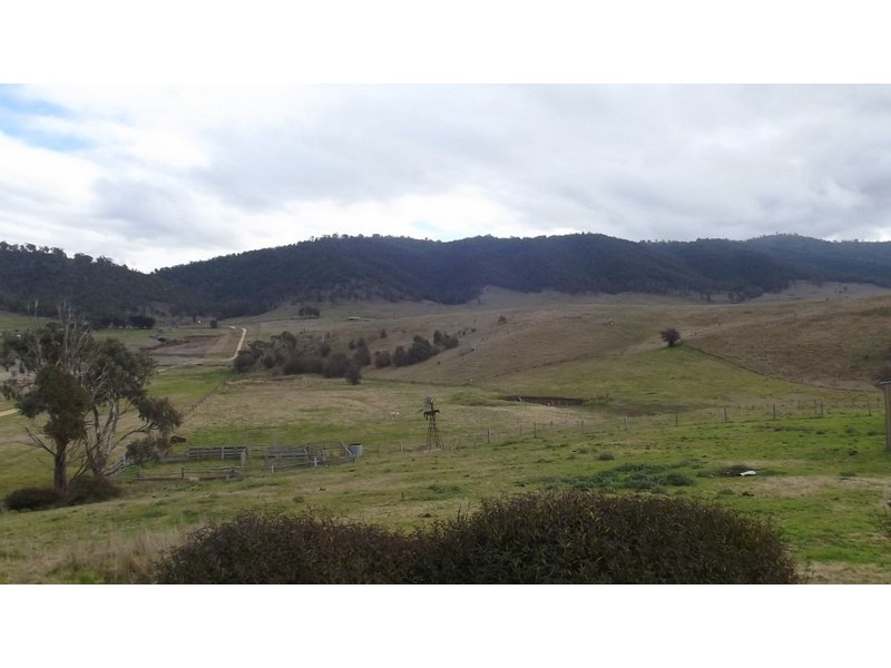 115 Parish Boundary Road, Omeo VIC 3898