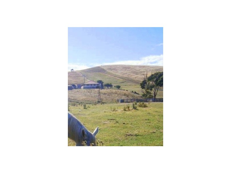 115 Parish Boundary Road, Omeo VIC 3898