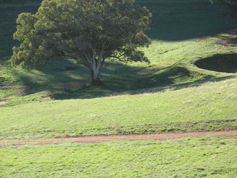 Lot 5 Cassilis Road Via Omeo, Cassilis VIC 3898