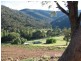 Lot 5 Cassilis Road Via Omeo, Cassilis VIC 3898