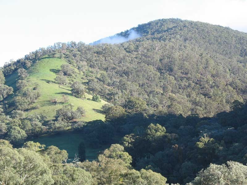 Lot 5 Cassilis Road Via Omeo, Cassilis VIC 3898