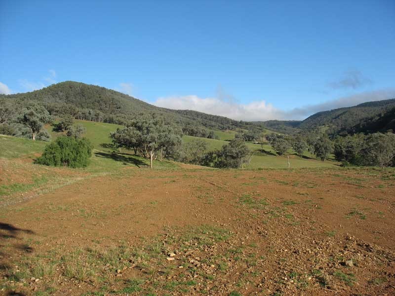 Lot 5 Cassilis Road Via Omeo, Cassilis VIC 3898