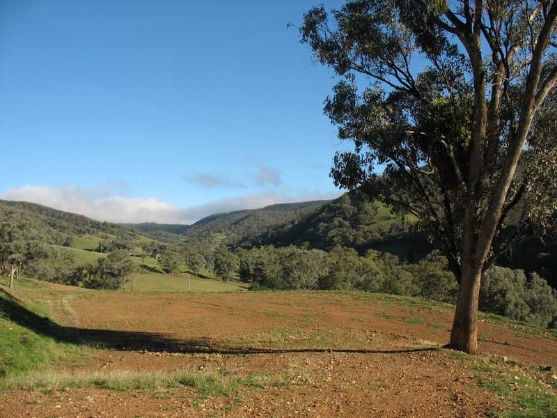 Lot 5 Cassilis Road Via Omeo, Cassilis VIC 3898