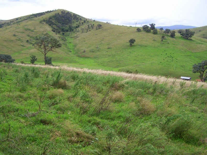 161 Spring Gully Road, Ensay North VIC 3895