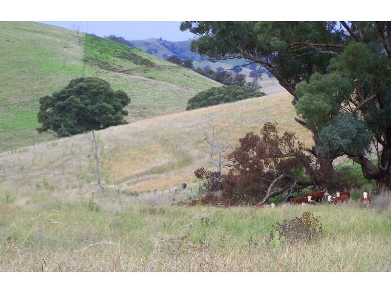 161 Spring Gully Road, Ensay North VIC 3895