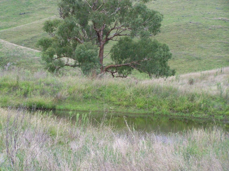 161 Spring Gully Road, Ensay North VIC 3895