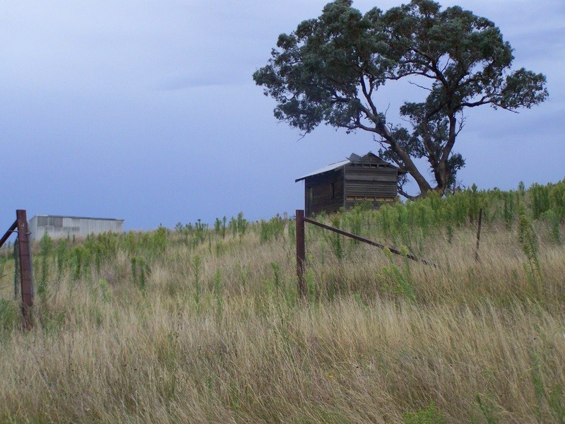 161 Spring Gully Road, Ensay North VIC 3895