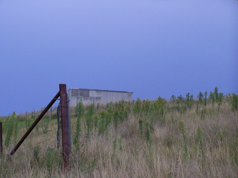 161 Spring Gully Road, Ensay North VIC 3895