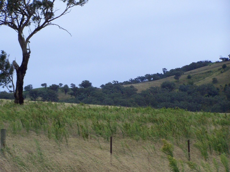 161 Spring Gully Road, Ensay North VIC 3895