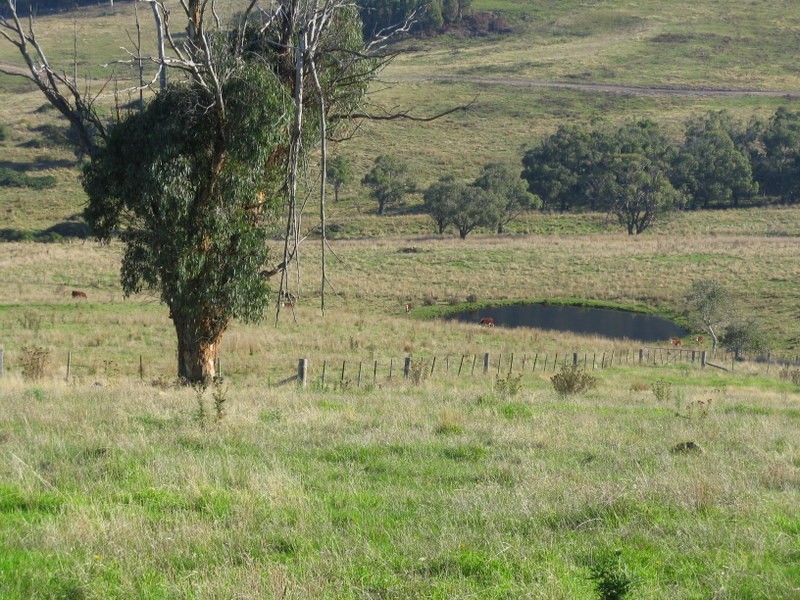 Lot 1 Teapot Creek Track, Benambra VIC 3900