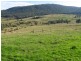 Lot 1 Teapot Creek Track, Benambra VIC 3900