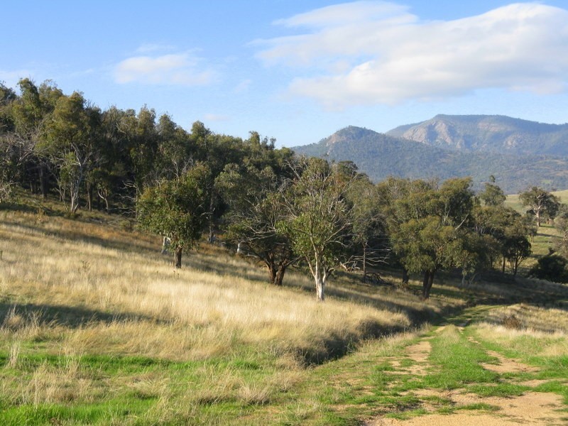Lot 1 Teapot Creek Track, Benambra VIC 3900
