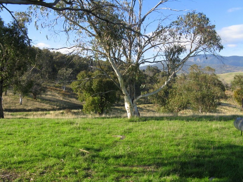 Lot 1 Teapot Creek Track, Benambra VIC 3900