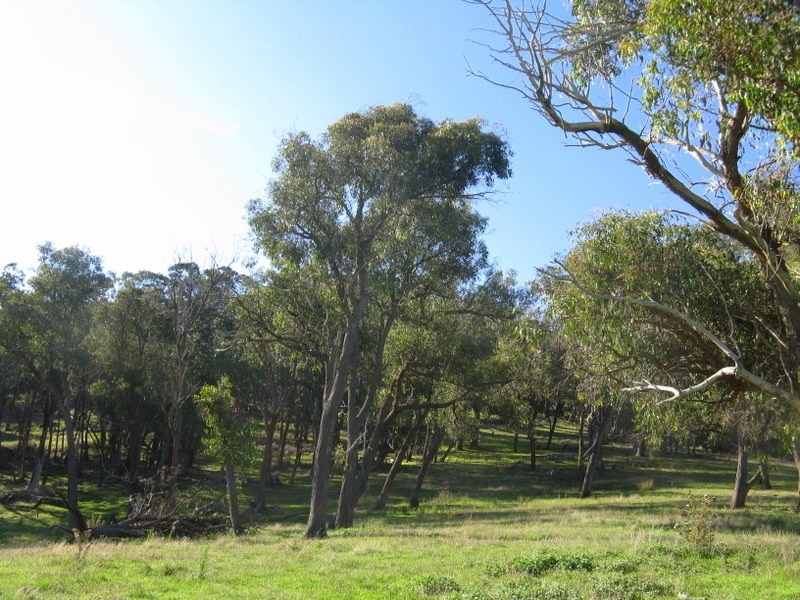 Lot 1 Teapot Creek Track, Benambra VIC 3900