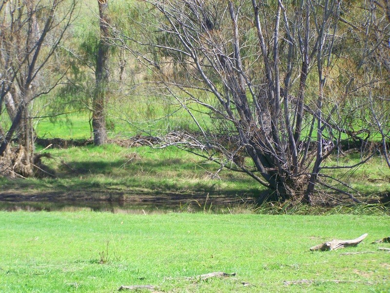 353 Omeo Highway, Omeo VIC 3898