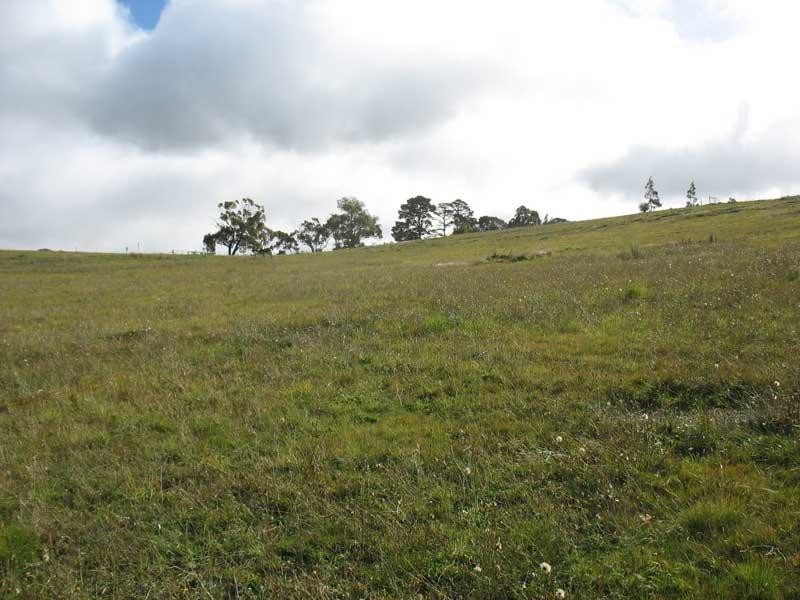 103 Sebastopol Hill Road, Omeo VIC 3898