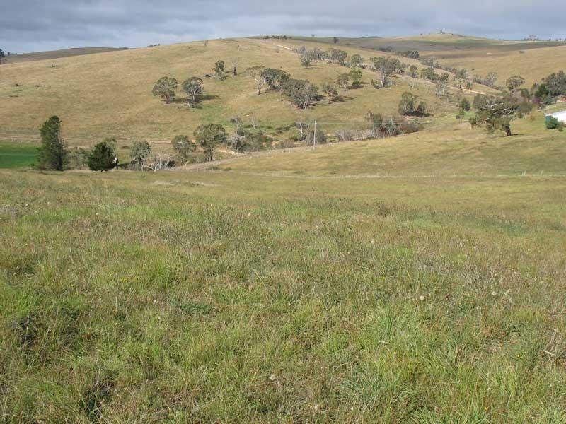 103 Sebastopol Hill Road, Omeo VIC 3898