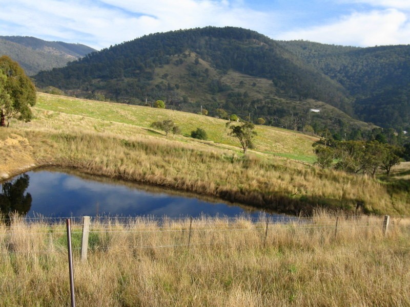 CA93 Day Avenue, Omeo VIC 3898