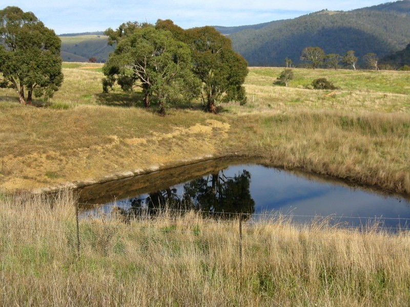 CA93 Day Avenue, Omeo VIC 3898