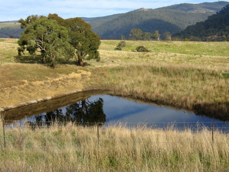 CA93 Day Avenue, Omeo VIC 3898