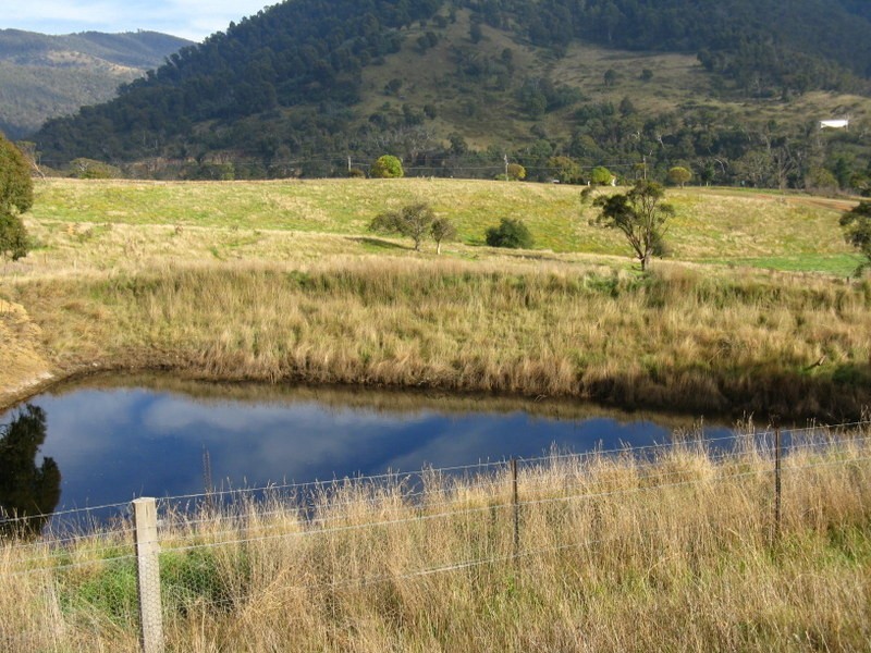 CA93 Day Avenue, Omeo VIC 3898