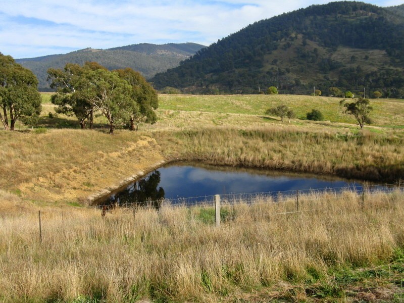 CA93 Day Avenue, Omeo VIC 3898