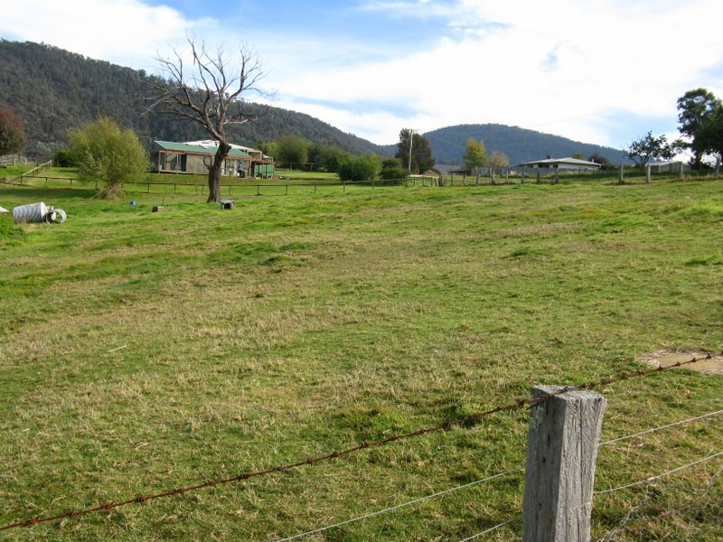 5 Brumley Street, Omeo VIC 3898