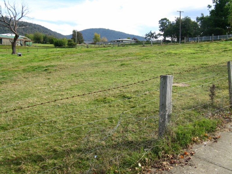 5 Brumley Street, Omeo VIC 3898